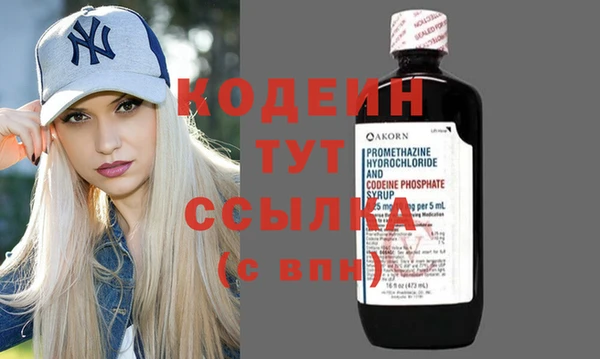индика Инта