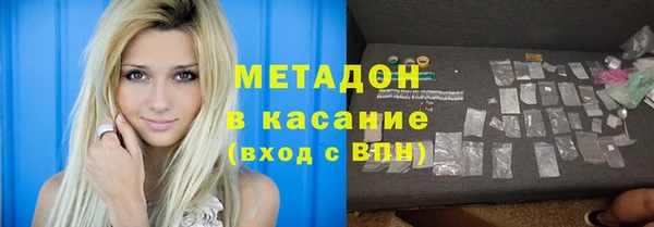 индика Инта