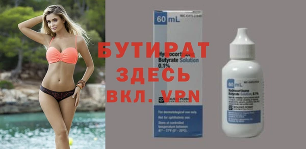индика Инта