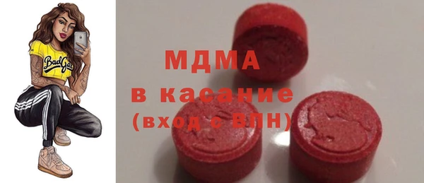 индика Инта