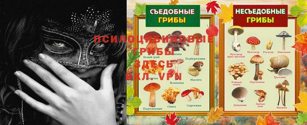 индика Инта