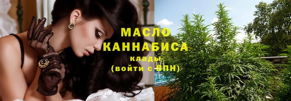 индика Инта