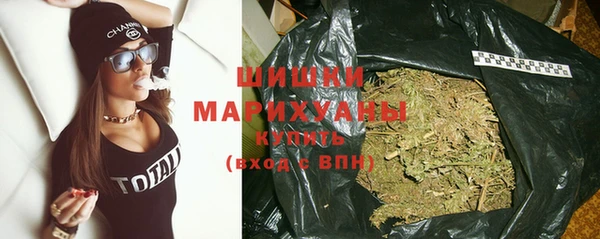 индика Инта