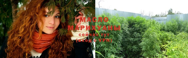индика Инта
