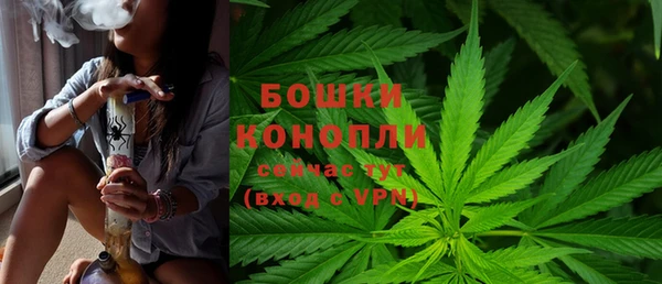 индика Инта