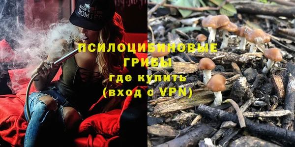 mdpv Зерноград