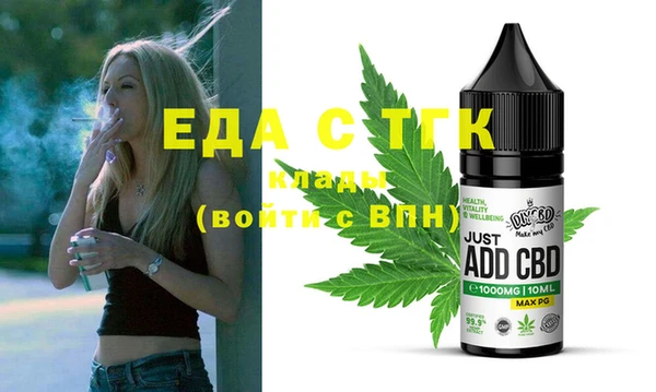 индика Инта