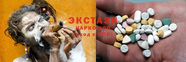 индика Инта